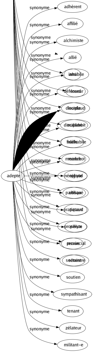 Synonyme de Adepte : Adhèrent Affilié Alchimiste Allié Ami Défenseur Disciple Discipliné Fidèle Membre Néophyte Partisan Pratiquant Prosélyte Recrue Sectaire Soutien Sympathisant Tenant Zélateur Militant-e 