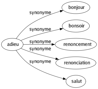 Synonyme de Adieu : Bonjour Bonsoir Renoncement Renonciation Salut 