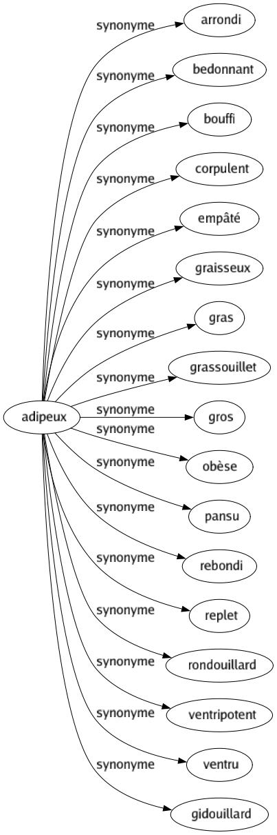 Synonyme de Adipeux : Arrondi Bedonnant Bouffi Corpulent Empâté Graisseux Gras Grassouillet Gros Obèse Pansu Rebondi Replet Rondouillard Ventripotent Ventru Gidouillard 
