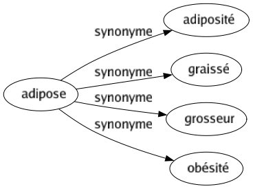 Synonyme de Adipose : Adiposité Graissé Grosseur Obésité 