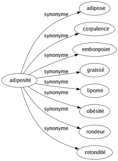Synonyme de Adiposité : Adipose Corpulence Embonpoint Graissé Lipome Obésité Rondeur Rotondité 