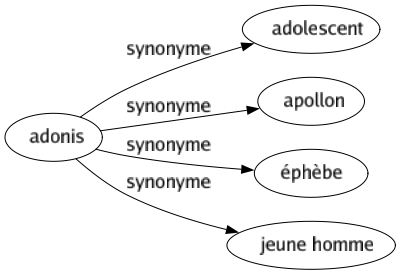 Synonyme de Adonis : Adolescent Apollon Éphèbe Jeune homme 