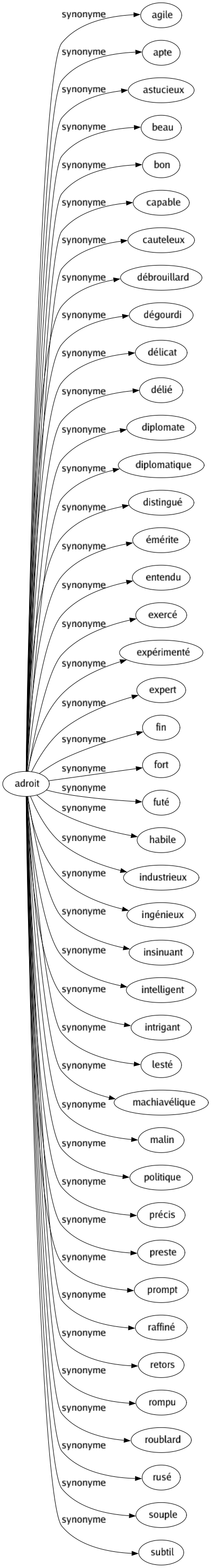 Synonyme de Adroit : Agile Apte Astucieux Beau Bon Capable Cauteleux Débrouillard Dégourdi Délicat Délié Diplomate Diplomatique Distingué Émérite Entendu Exercé Expérimenté Expert Fin Fort Futé Habile Industrieux Ingénieux Insinuant Intelligent Intrigant Lesté Machiavélique Malin Politique Précis Preste Prompt Raffiné Retors Rompu Roublard Rusé Souple Subtil 