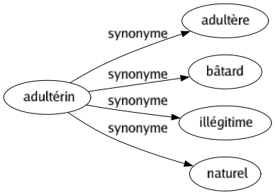 Synonyme de Adultérin : Adultère Bâtard Illégitime Naturel 