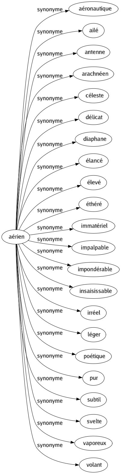 Synonyme de Aérien : Aéronautique Ailé Antenne Arachnéen Céleste Délicat Diaphane Élancé Élevé Éthéré Immatériel Impalpable Impondérable Insaisissable Irréel Léger Poétique Pur Subtil Svelte Vaporeux Volant 