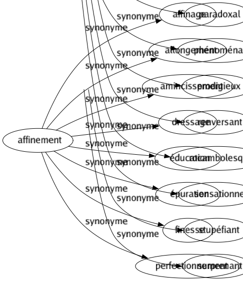 Synonyme de Affinement : Affinage Allongement Amincissement Dressage Éducation Épuration Finesse Perfectionnement 