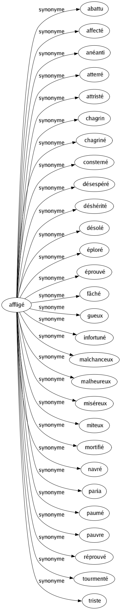 Synonyme de Affligé : Abattu Affecté Anéanti Atterré Attristé Chagrin Chagriné Consterné Désespéré Déshérité Désolé Éploré Éprouvé Fâché Gueux Infortuné Malchanceux Malheureux Miséreux Miteux Mortifié Navré Paria Paumé Pauvre Réprouvé Tourmenté Triste 