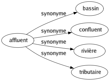 Synonyme de Affluent : Bassin Confluent Rivière Tributaire 