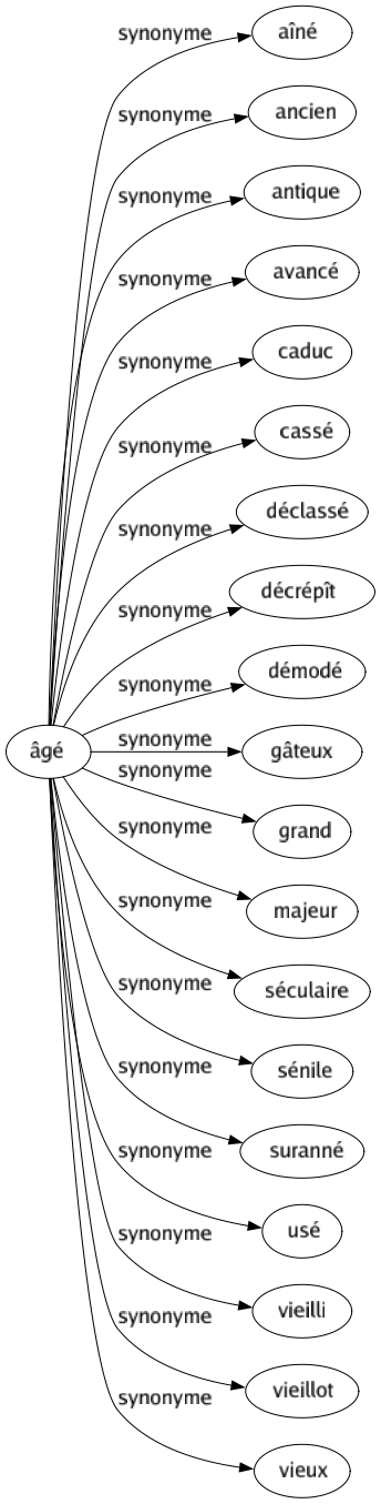 Synonyme de Âgé : Aîné Ancien Antique Avancé Caduc Cassé Déclassé Décrépît Démodé Gâteux Grand Majeur Séculaire Sénile Suranné Usé Vieilli Vieillot Vieux 