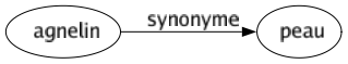 Synonyme de Agnelin : Peau 