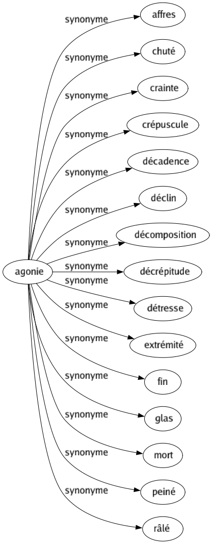 Synonyme de Agonie : Affres Chuté Crainte Crépuscule Décadence Déclin Décomposition Décrépitude Détresse Extrémité Fin Glas Mort Peiné Râlé 