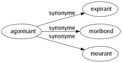 Synonyme de Agonisant : Expirant Moribond Mourant 
