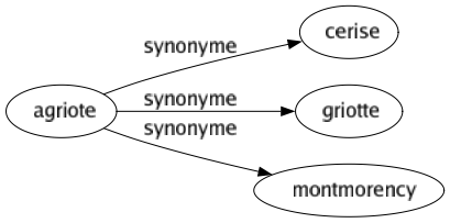 Synonyme de Agriote : Cerise Griotte Montmorency 