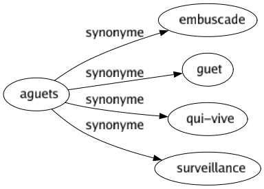 Synonyme de Aguets : Embuscade Guet Qui-vive Surveillance 