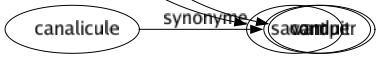 Synonyme de Aguicher : Affriander Affrioler Agacer Allécher Allumer Amorcer Attirer Attiser Émoustiller Exciter Provoquer Séduire Tenter Vamper 