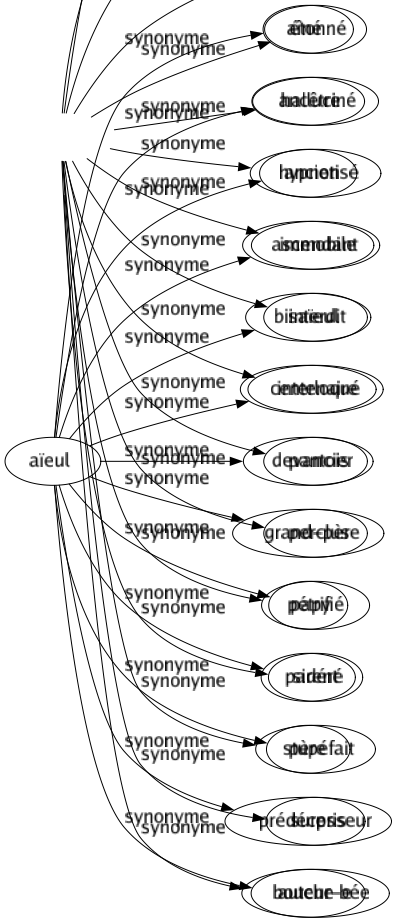 Synonyme de Aïeul : Aîné Ancêtre Ancien Ascendant Bisaïeul Centenaire Devancier Grand-père Papy Parent Père Prédécesseur Auteur-e 