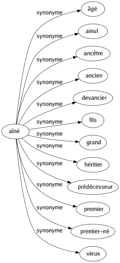 Synonyme de Aîné : Âgé Aïeul Ancêtre Ancien Devancier Fils Grand Héritier Prédécesseur Premier Premier-né Vieux 
