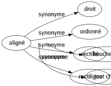 Synonyme de Aligné : Droit Ordonné Rectifié Rectiligne 