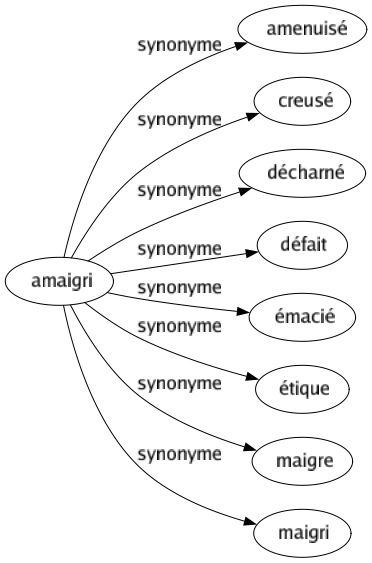 Synonyme de Amaigri : Amenuisé Creusé Décharné Défait Émacié Étique Maigre Maigri 