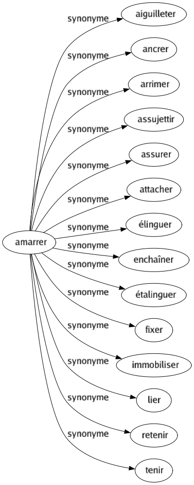 Synonyme de Amarrer : Aiguilleter Ancrer Arrimer Assujettir Assurer Attacher Élinguer Enchaîner Étalinguer Fixer Immobiliser Lier Retenir Tenir 