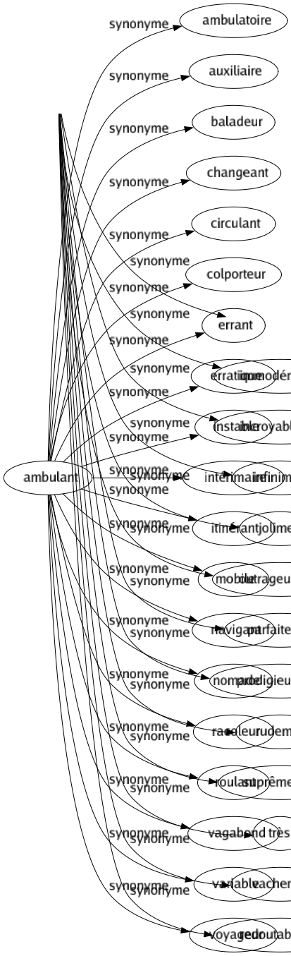 Synonyme de Ambulant : Ambulatoire Auxiliaire Baladeur Changeant Circulant Colporteur Errant Erratique Instable Intérimaire Itinérant Mobile Navigant Nomade Racoleur Roulant Vagabond Variable Voyageur 