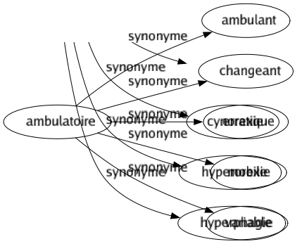 Synonyme de Ambulatoire : Ambulant Changeant Erratique Mobile Variable 