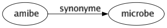 Synonyme de Amibe : Microbe 