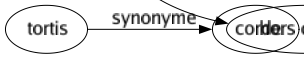 Synonyme de Amorti : Couvert Croulant Démodé Effacé Émoussé Éteint Étouffé Fatigué Feutré Mât Passé Remboursé Sépulcral Sourd Terne Usagé Usé Vieilli Vieux Hors d'usage 