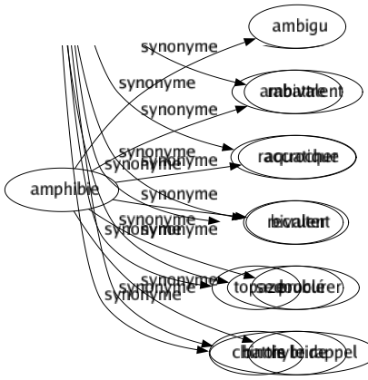 Synonyme de Amphibie : Ambigu Ambivalent Aquatique Bivalent Doublé Hybride 