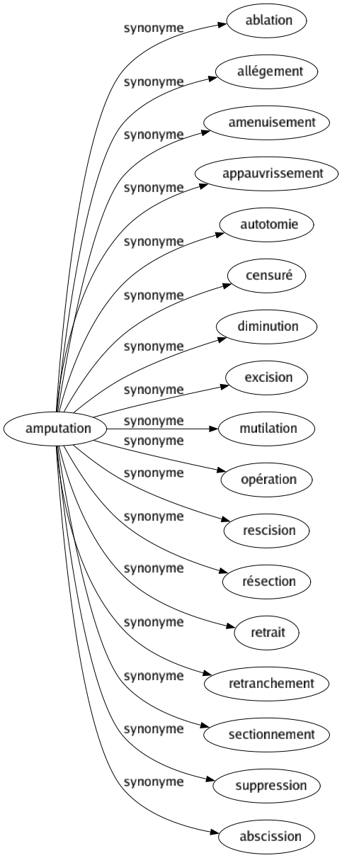 Synonyme de Amputation : Ablation Allégement Amenuisement Appauvrissement Autotomie Censuré Diminution Excision Mutilation Opération Rescision Résection Retrait Retranchement Sectionnement Suppression Abscission 