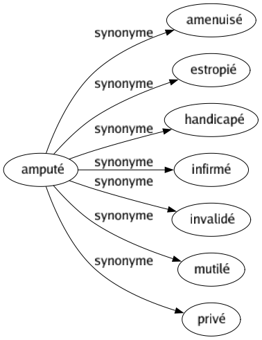 Synonyme de Amputé : Amenuisé Estropié Handicapé Infirmé Invalidé Mutilé Privé 