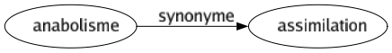Synonyme de Anabolisme : Assimilation 