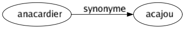 Synonyme de Anacardier : Acajou 