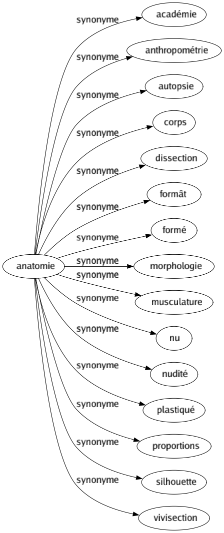 Synonyme de Anatomie : Académie Anthropométrie Autopsie Corps Dissection Formât Formé Morphologie Musculature Nu Nudité Plastiqué Proportions Silhouette Vivisection 