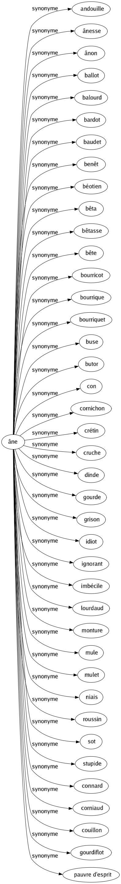 Synonyme de Âne : Andouille Ânesse Ânon Ballot Balourd Bardot Baudet Benêt Béotien Bêta Bêtasse Bête Bourricot Bourrique Bourriquet Buse Butor Con Cornichon Crétin Cruche Dinde Gourde Grison Idiot Ignorant Imbécile Lourdaud Monture Mule Mulet Niais Roussin Sot Stupide Connard Corniaud Couillon Gourdiflot Pauvre d'esprit 