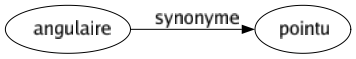 Synonyme de Angulaire : Pointu 