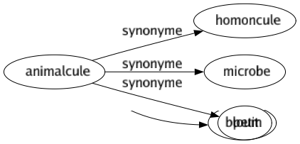 Synonyme de Animalcule : Homoncule Microbe Petit 