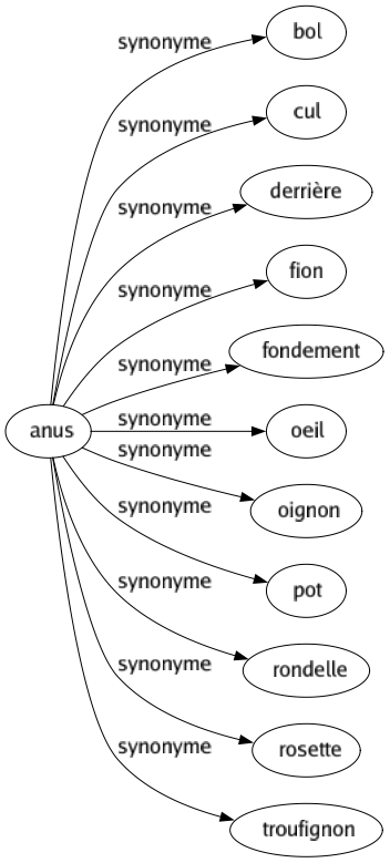 Synonyme de Anus : Bol Cul Derrière Fion Fondement Oeil Oignon Pot Rondelle Rosette Troufignon 