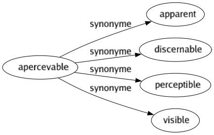 Synonyme de Apercevable : Apparent Discernable Perceptible Visible 