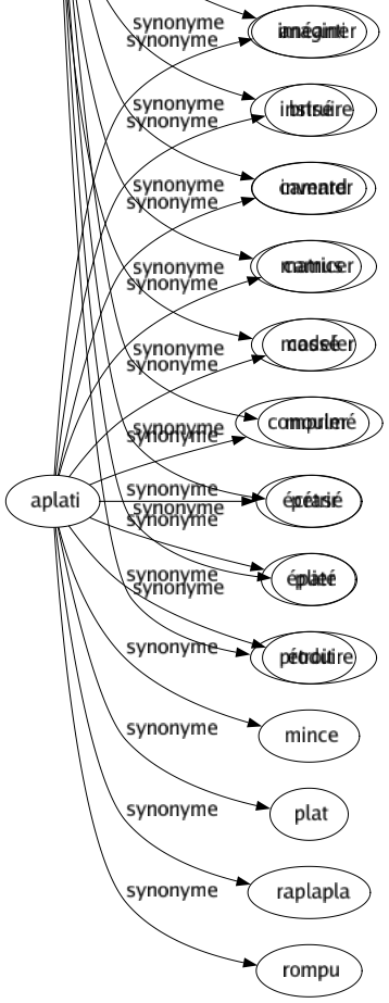 Synonyme de Aplati : Anéanti Brisé Camard Camus Cassé Comprimé Écrasé Épaté Étroit Mince Plat Raplapla Rompu 