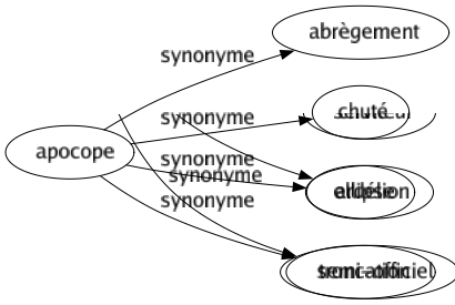 Synonyme de Apocope : Abrègement Chuté Ellipse Troncation 