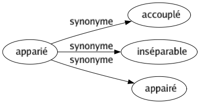 Synonyme de Apparié : Accouplé Inséparable Appairé 