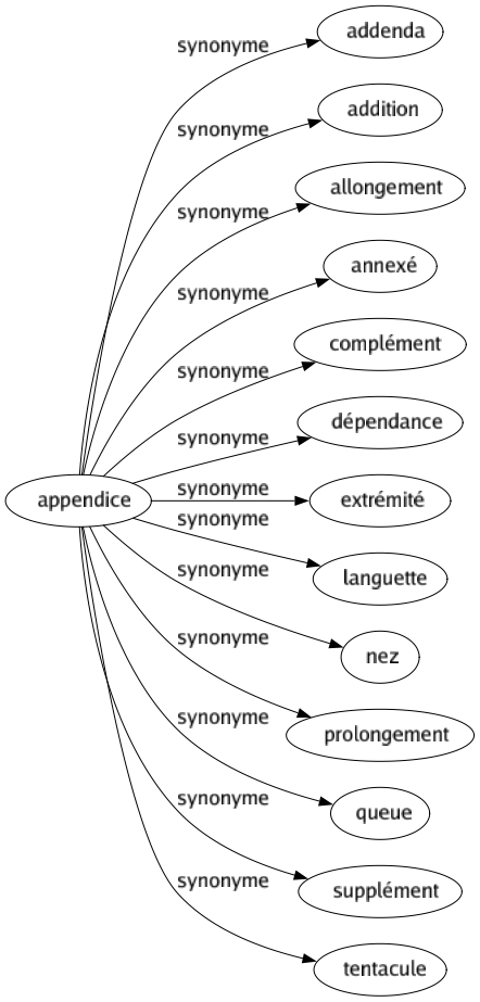 Synonyme de Appendice : Addenda Addition Allongement Annexé Complément Dépendance Extrémité Languette Nez Prolongement Queue Supplément Tentacule 