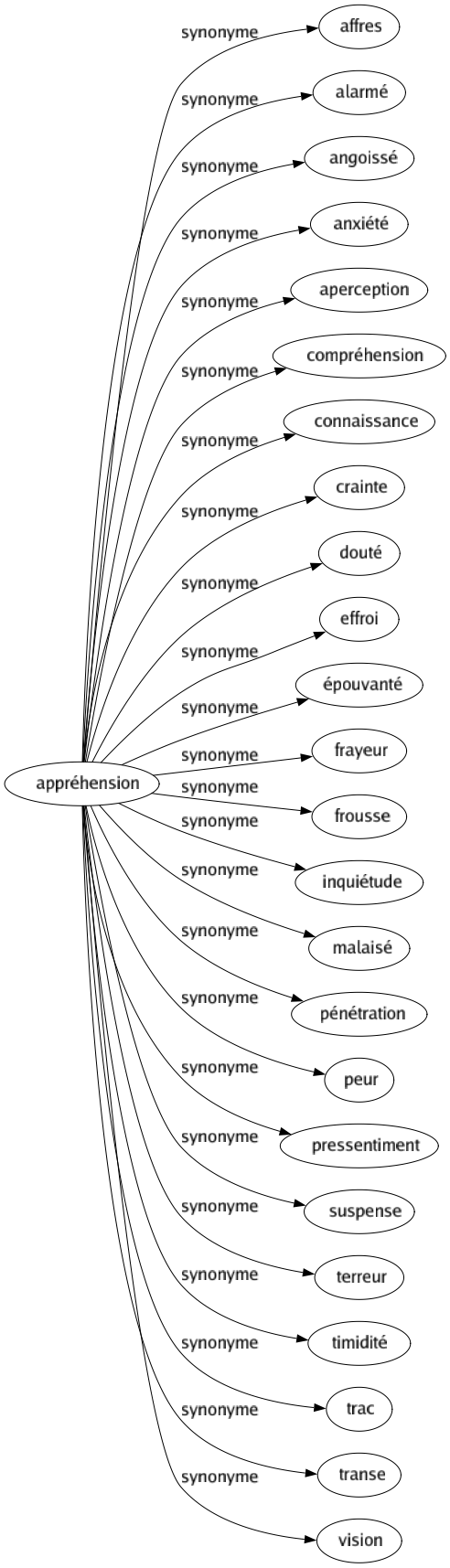 Synonyme de Appréhension : Affres Alarmé Angoissé Anxiété Aperception Compréhension Connaissance Crainte Douté Effroi Épouvanté Frayeur Frousse Inquiétude Malaisé Pénétration Peur Pressentiment Suspense Terreur Timidité Trac Transe Vision 