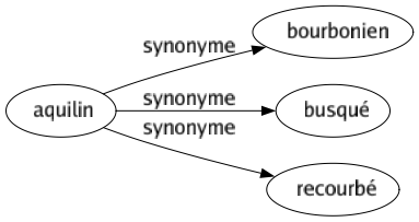 Synonyme de Aquilin : Bourbonien Busqué Recourbé 