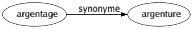 Synonyme de Argentage : Argenture 