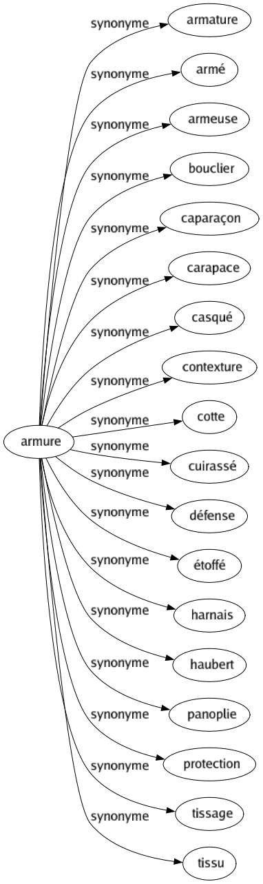 Synonyme de Armure : Armature Armé Armeuse Bouclier Caparaçon Carapace Casqué Contexture Cotte Cuirassé Défense Étoffé Harnais Haubert Panoplie Protection Tissage Tissu 