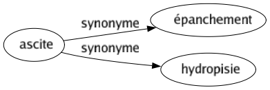 Synonyme de Ascite : Épanchement Hydropisie 