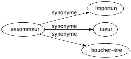 Synonyme de Assommeur : Importun Tueur Boucher-ère 