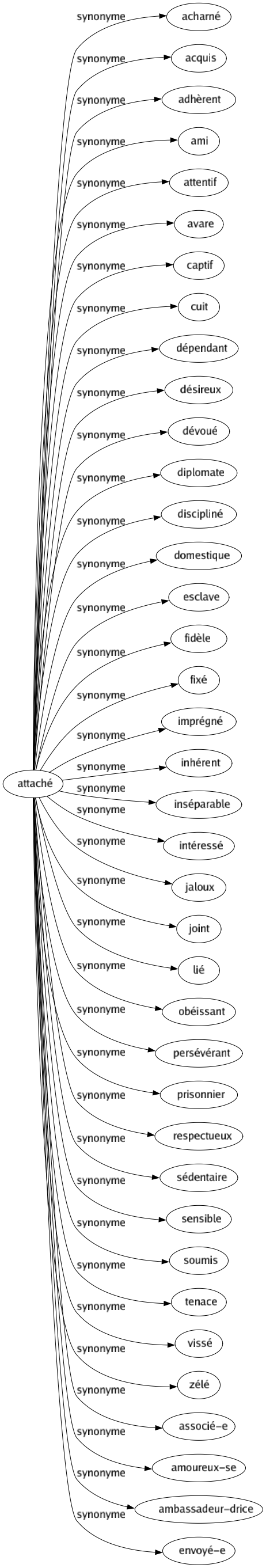 Synonyme de Attaché : Acharné Acquis Adhèrent Ami Attentif Avare Captif Cuit Dépendant Désireux Dévoué Diplomate Discipliné Domestique Esclave Fidèle Fixé Imprégné Inhérent Inséparable Intéressé Jaloux Joint Lié Obéissant Persévérant Prisonnier Respectueux Sédentaire Sensible Soumis Tenace Vissé Zélé Associé-e Amoureux-se Ambassadeur-drice Envoyé-e 